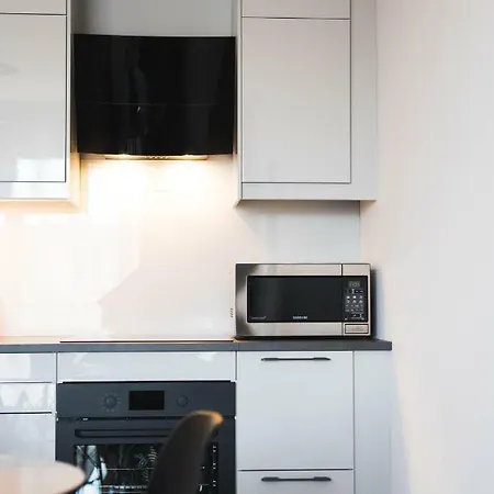 Blue Raven Downtown 公寓 格但斯克